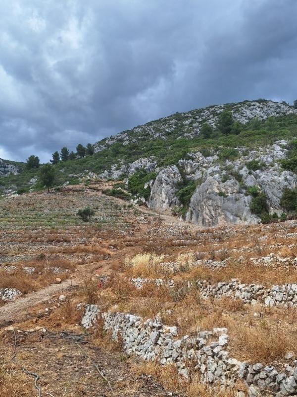 Vue partie haute du terrain