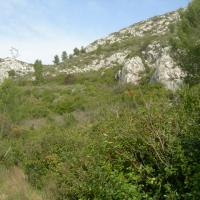 Vue partielle par le bas du terrain avant débroussaillement